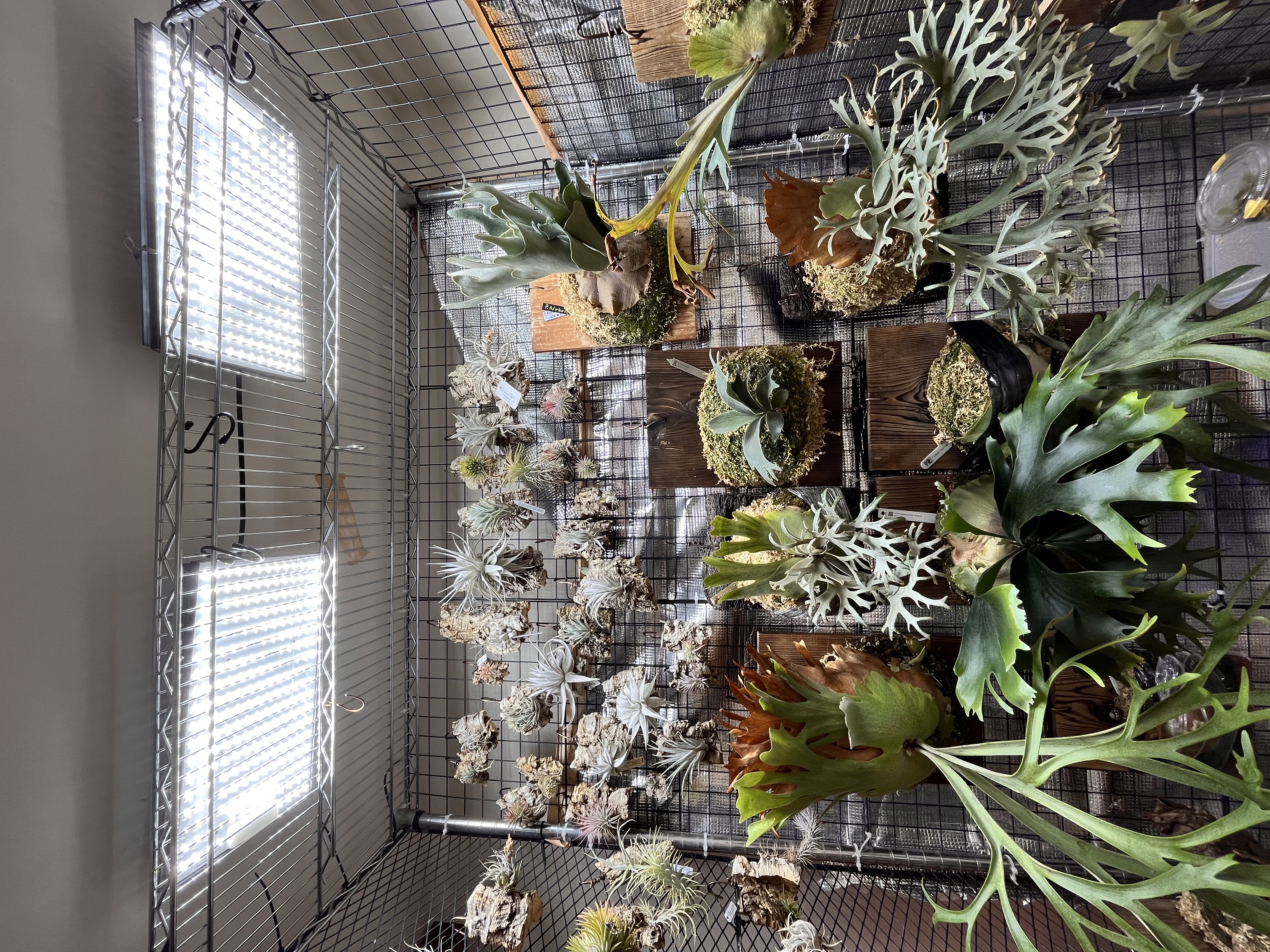 完全室内の様子