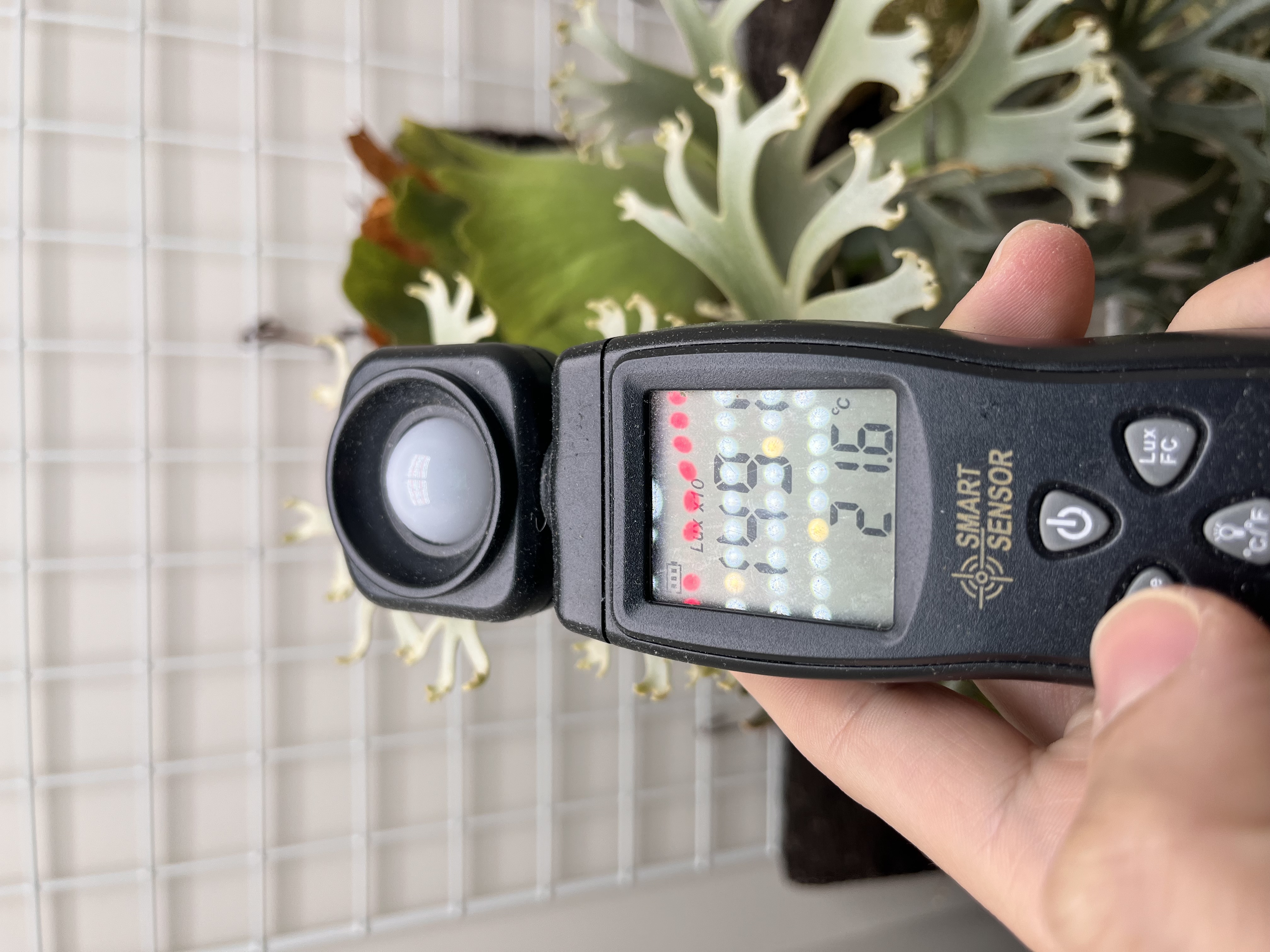 照度計で15000ルクスを測定