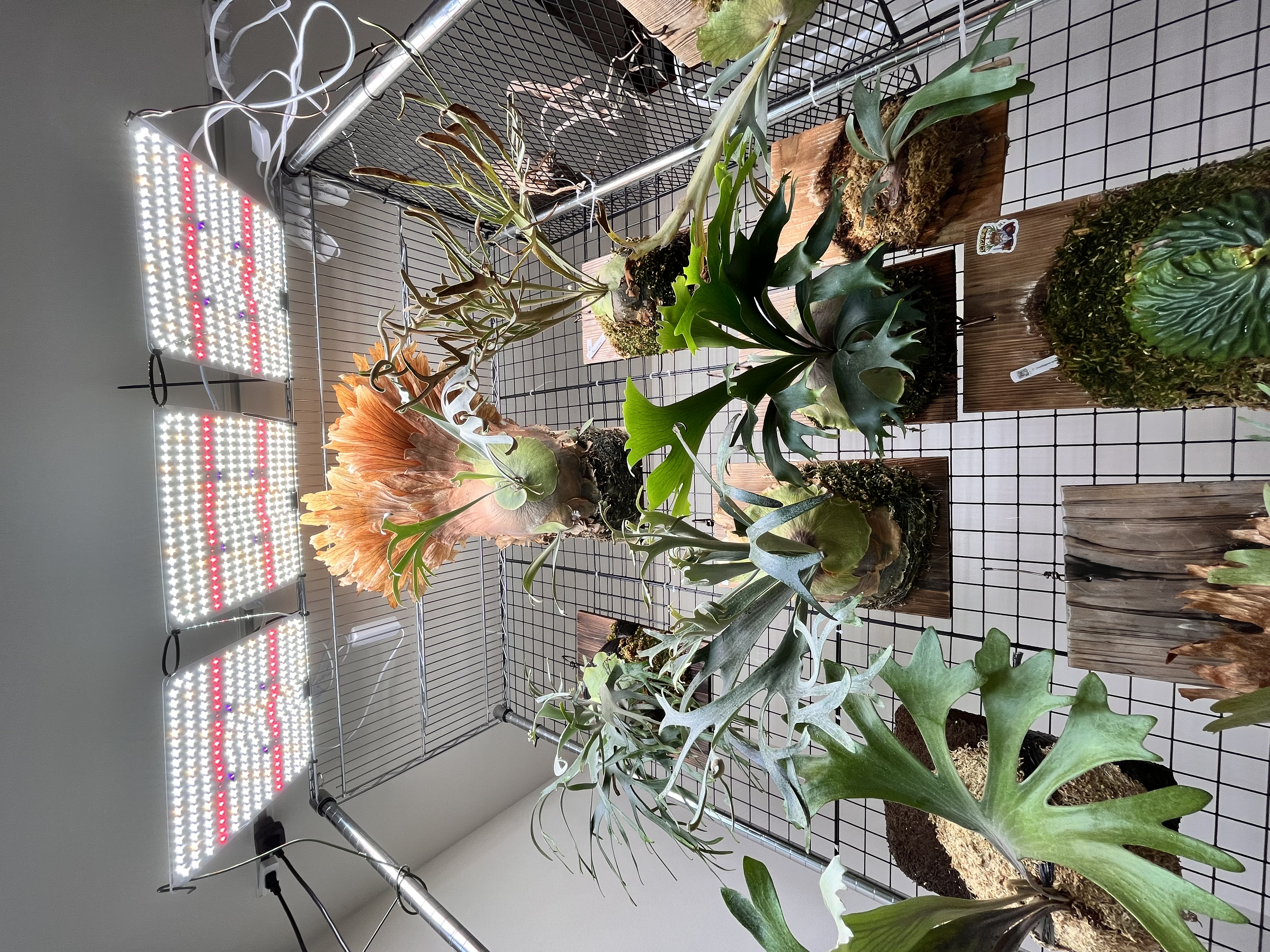 ルミナスラックにBRIM PANEL Aを3つ設置