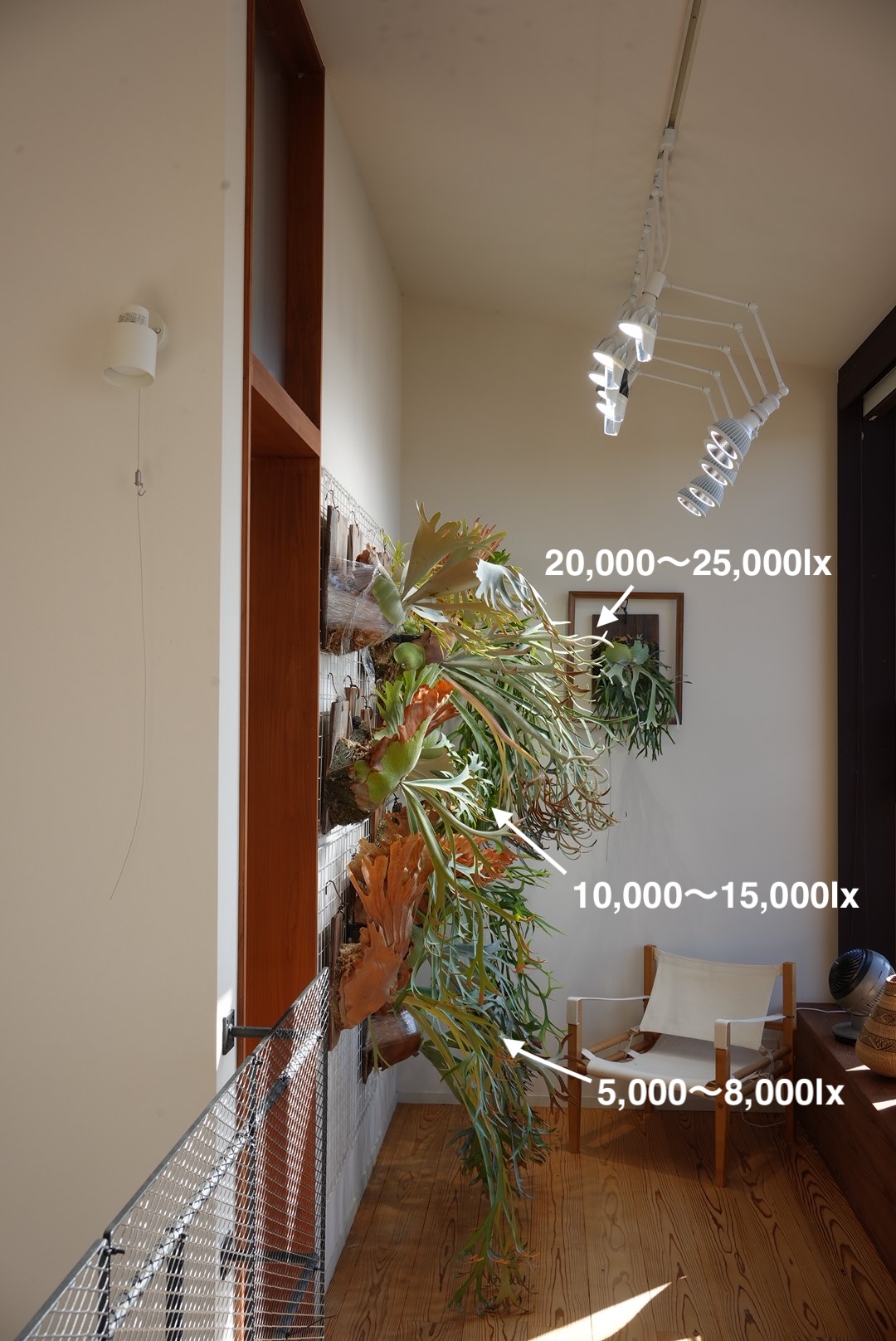 各段のルクス値（20,000〜25,000lx、10,000〜15,000lx、5,000〜8,000lx）