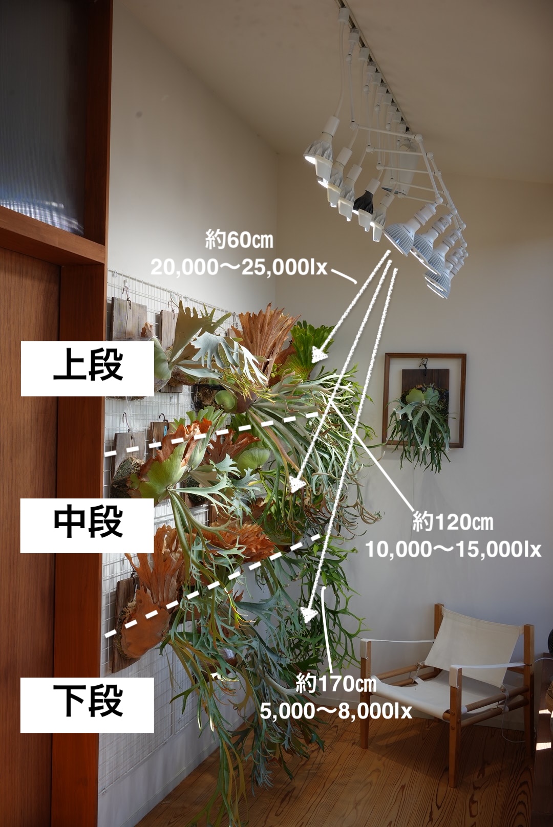 BRIM COSMO 5灯 + Helios 6灯の配置
