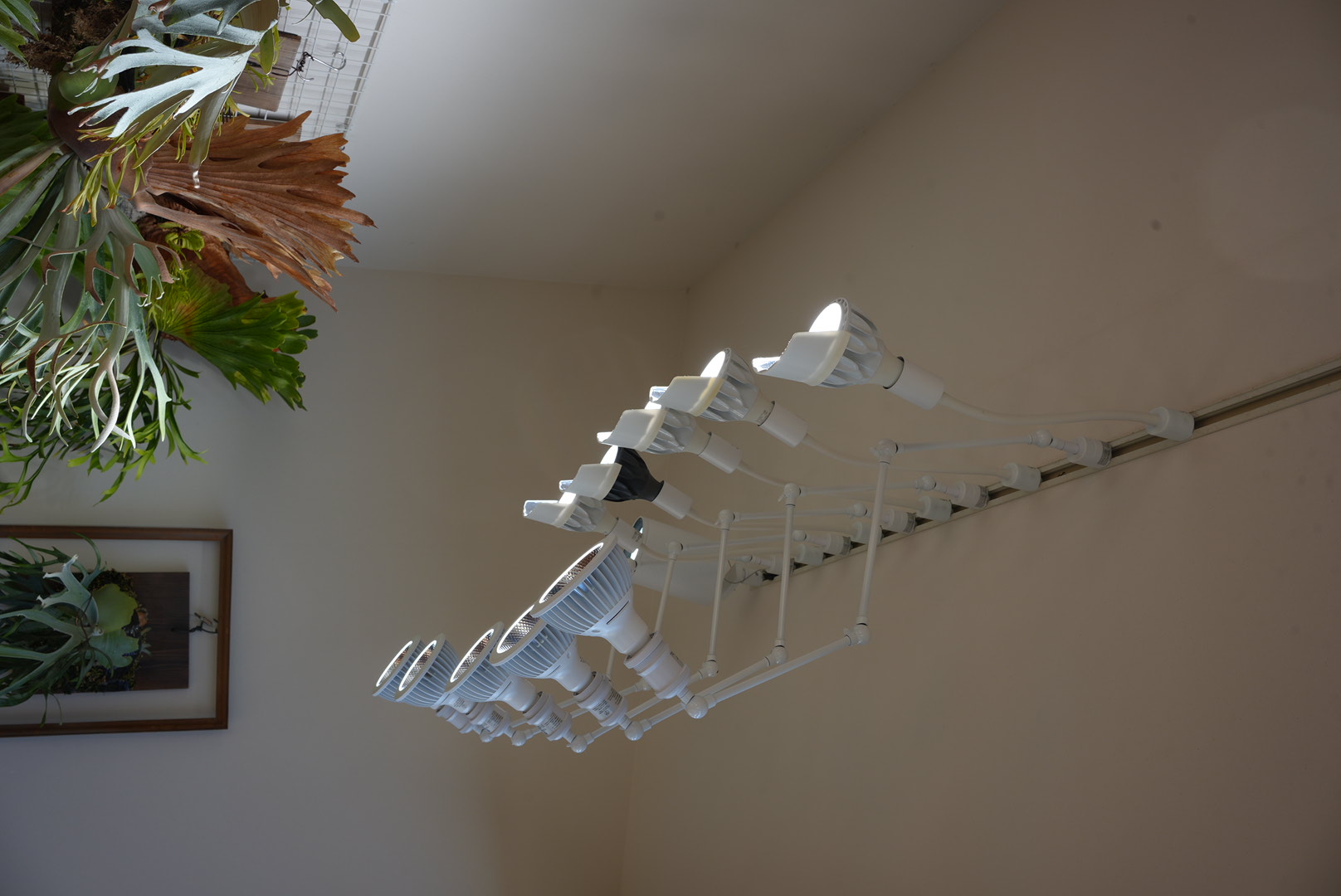 ライティングレールとライトの配置