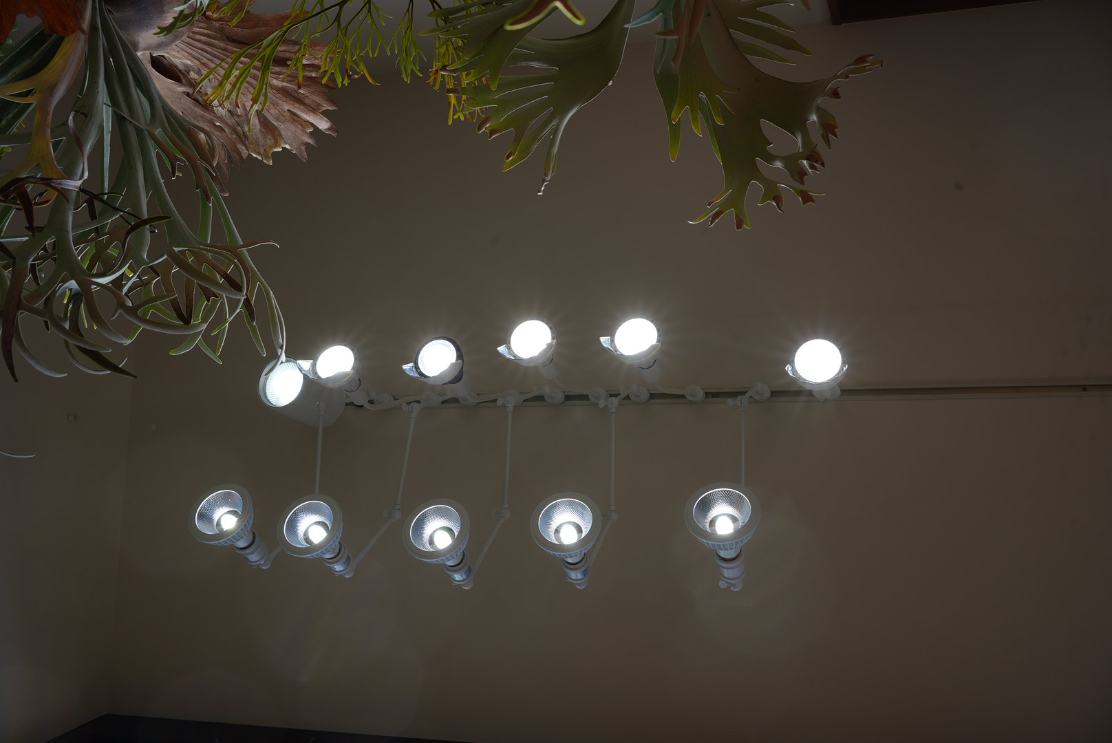 ライトの向き（真下から見上げた図）