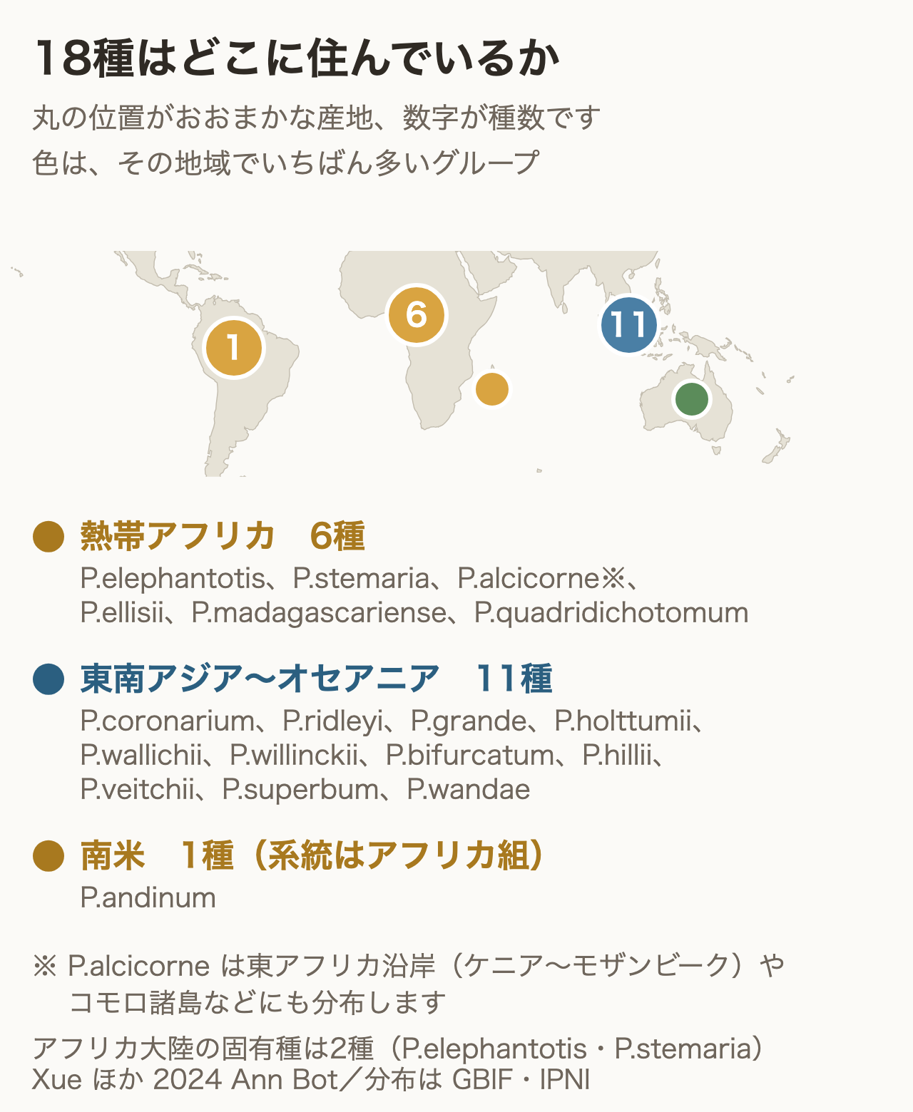 ビカクシダ18種の世界分布地図
