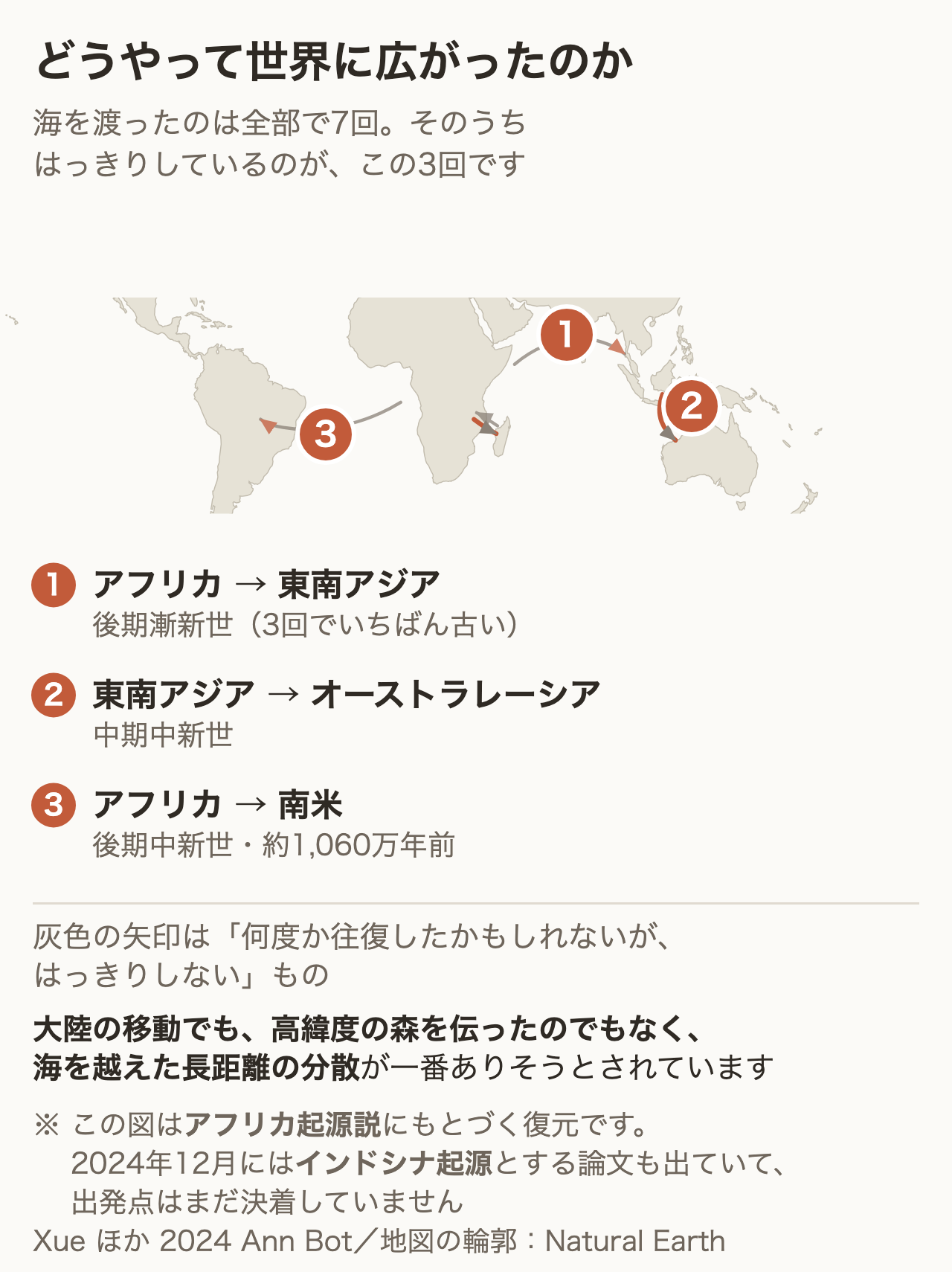 ビカクシダが世界に広がった経路の地図