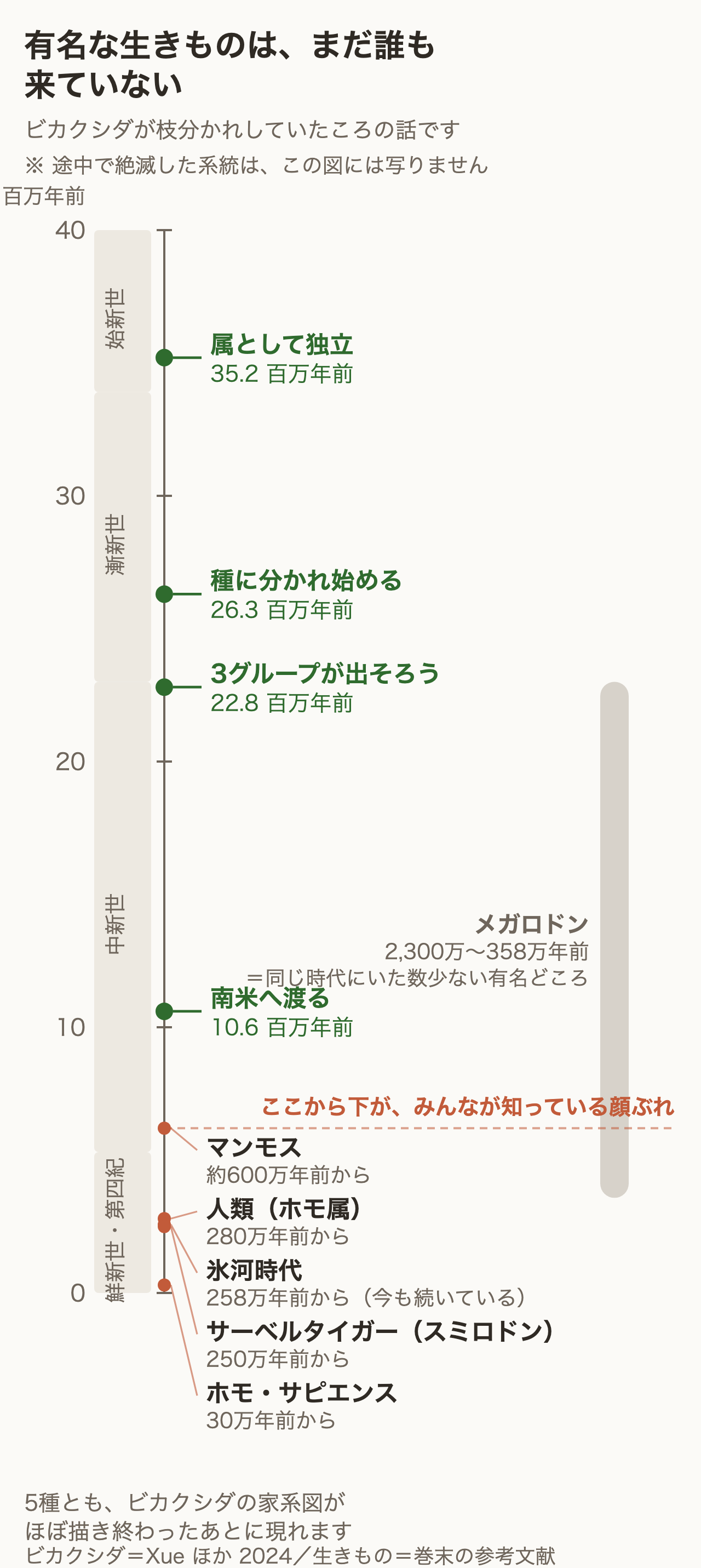 ビカクシダの年代と、有名な生きものが現れた時期の年表