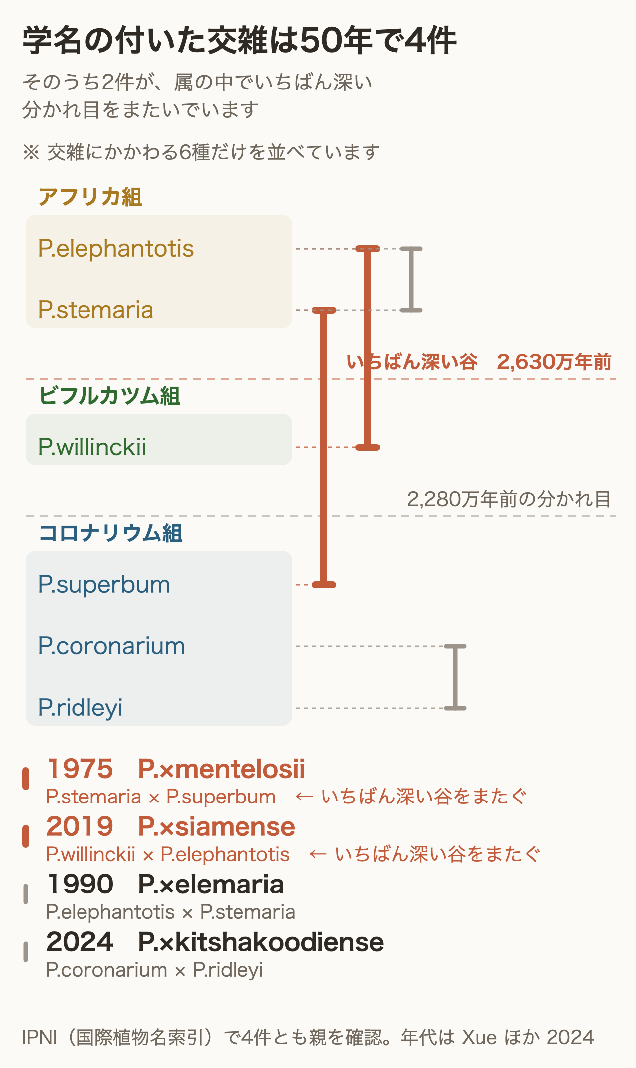 学名の付いた交雑4件と、系統上の距離を示した図