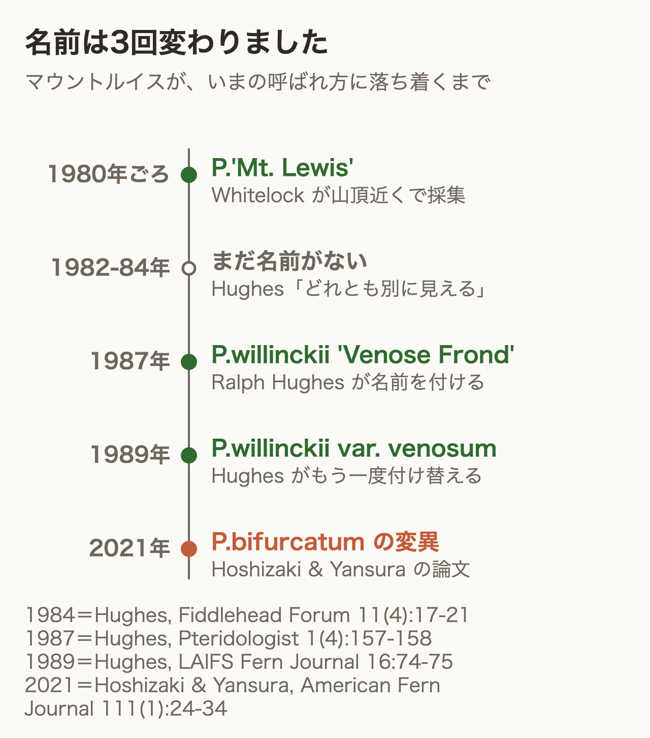 マウントルイスの名前の変遷をたどった年表。P.'Mt. Lewis' から P.willinckii 'Venose Frond'、P.willinckii var. venosum を経て、2021年に P.bifurcatum の変異に落ち着いた