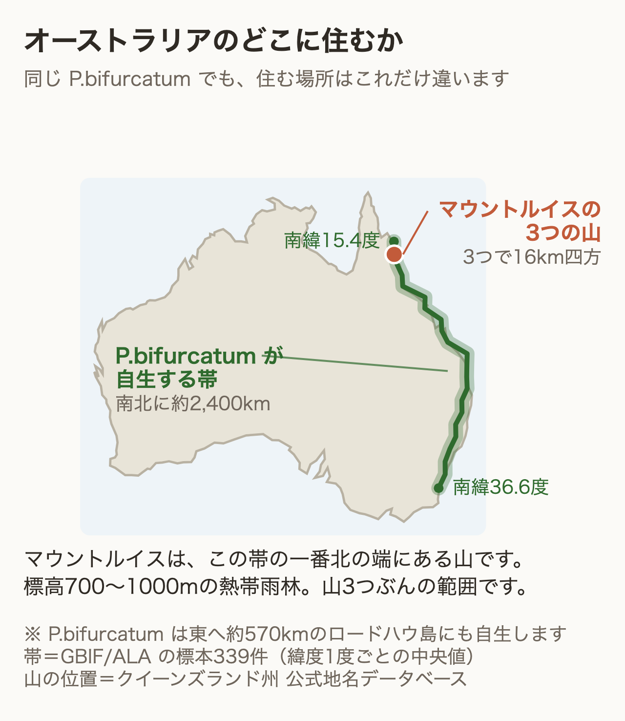 オーストラリアの分布地図。P.bifurcatum は東海岸に沿って南緯15.4度から36.6度まで南北約2,400kmの帯状に自生し、マウントルイスの3つの山はその帯の一番北の端にある
