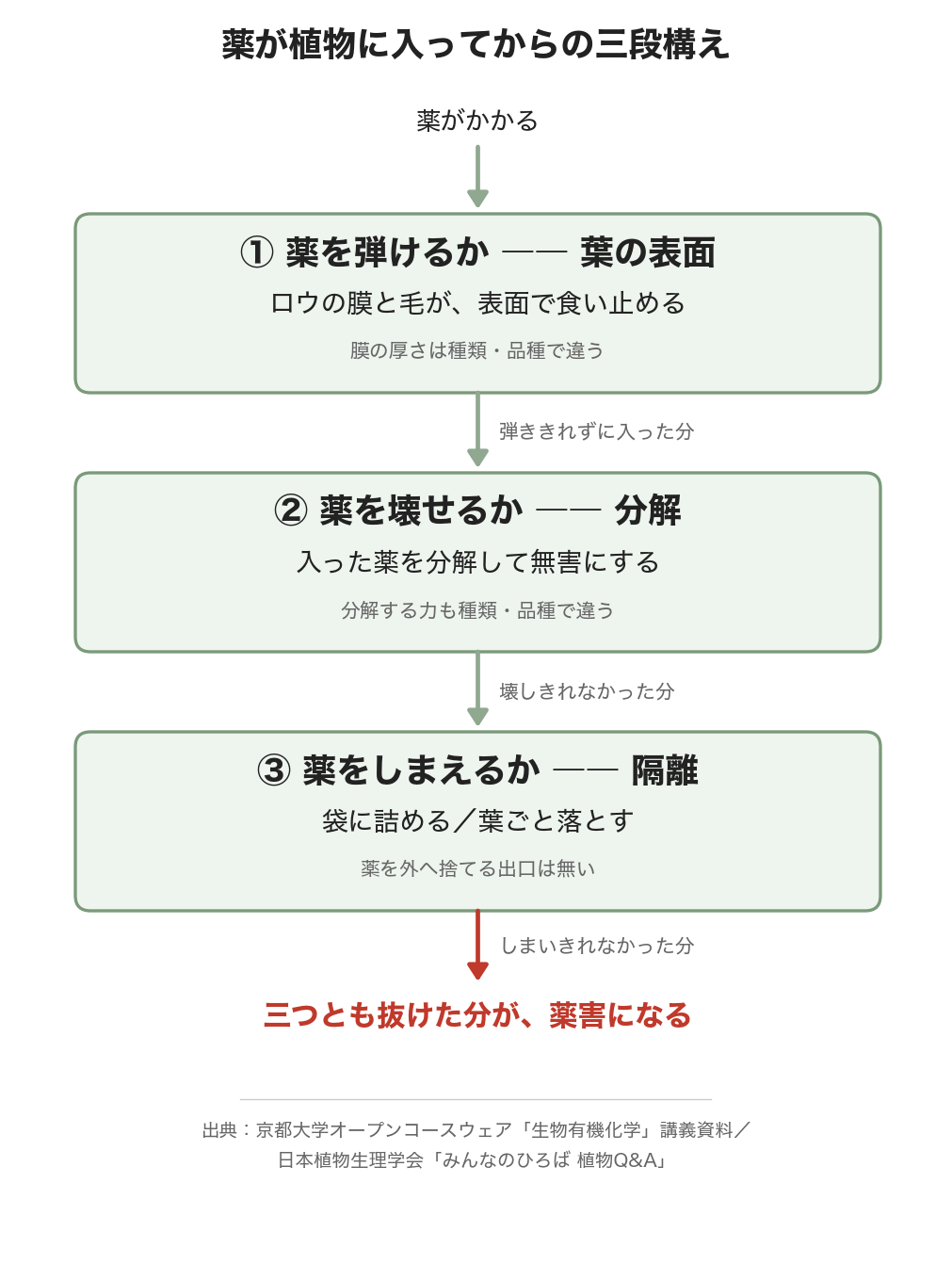 薬が植物に入ってからの三段構えの図解。弾く・壊す・しまう