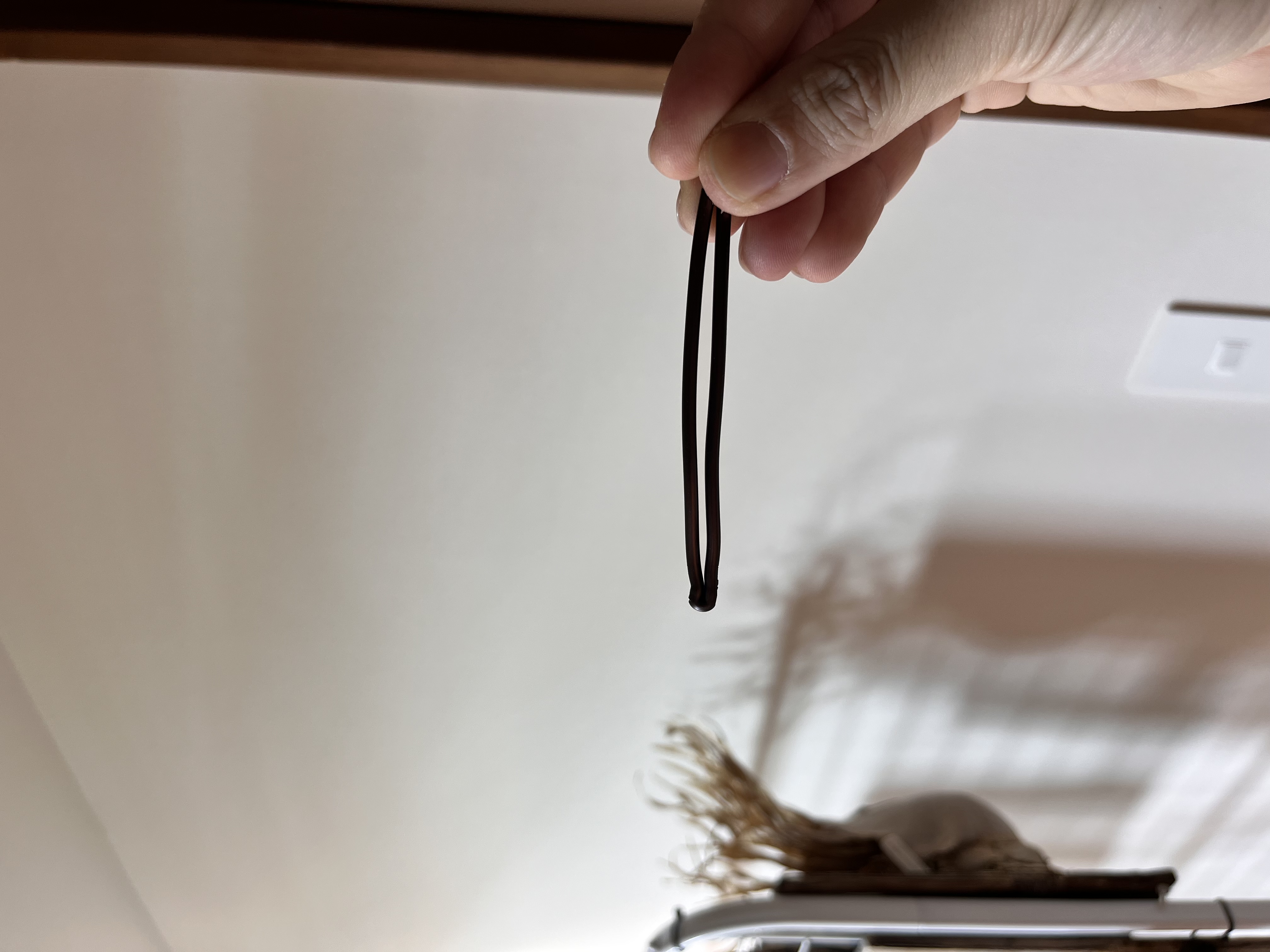 横から見た先端の様子