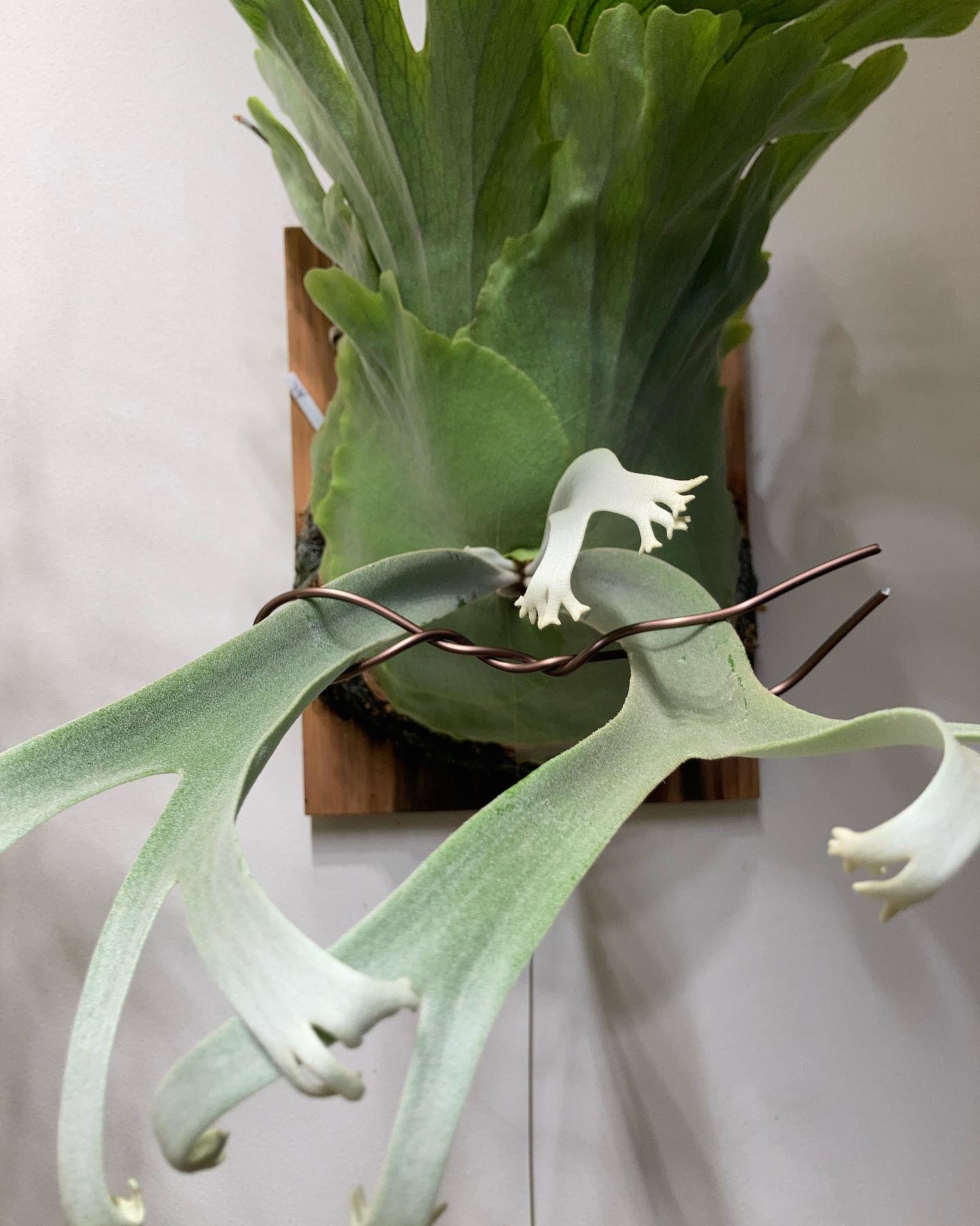 上からの角度でスペーサー機能が見える