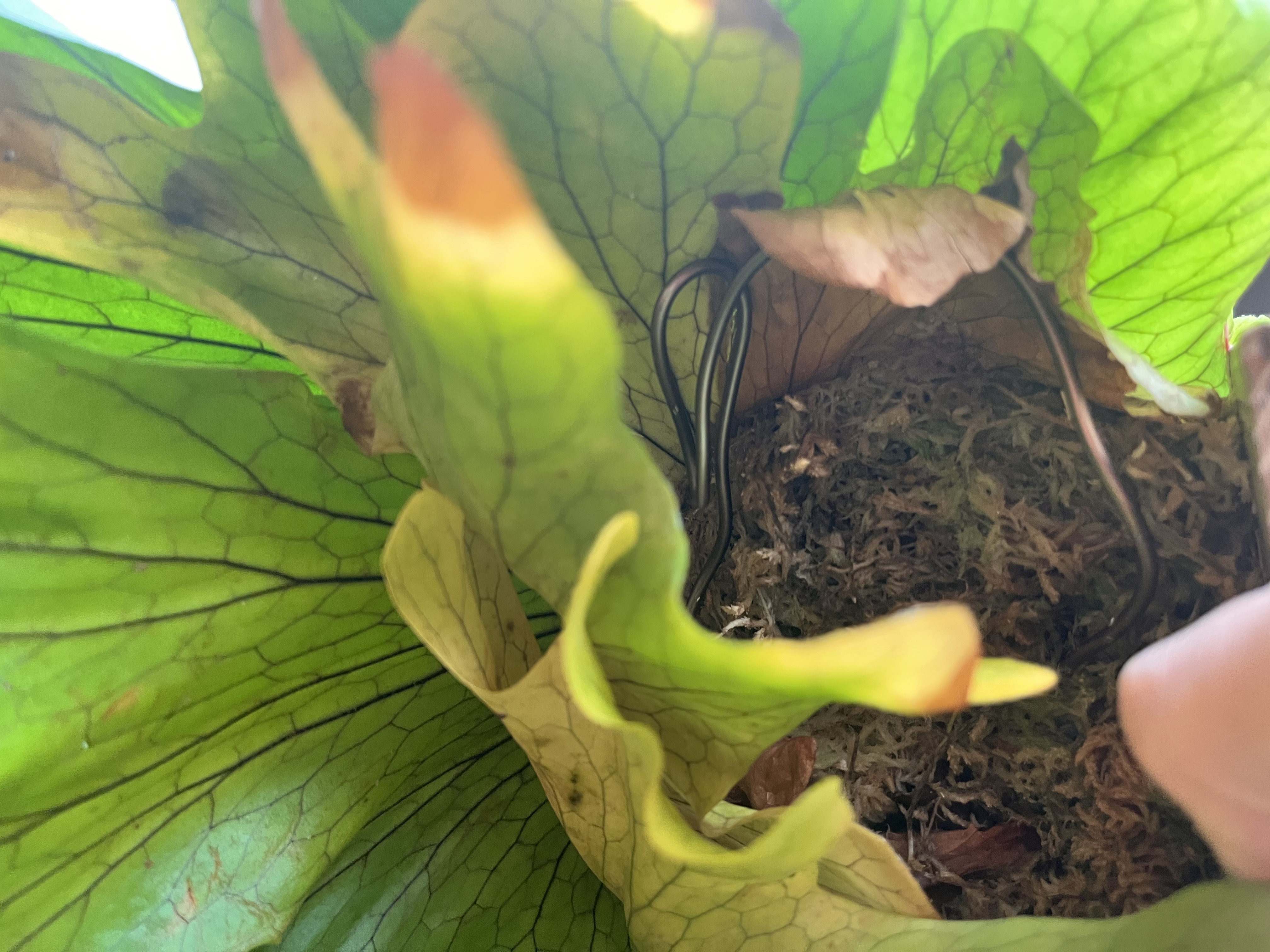 折りたたんで強度を増したワイヤー