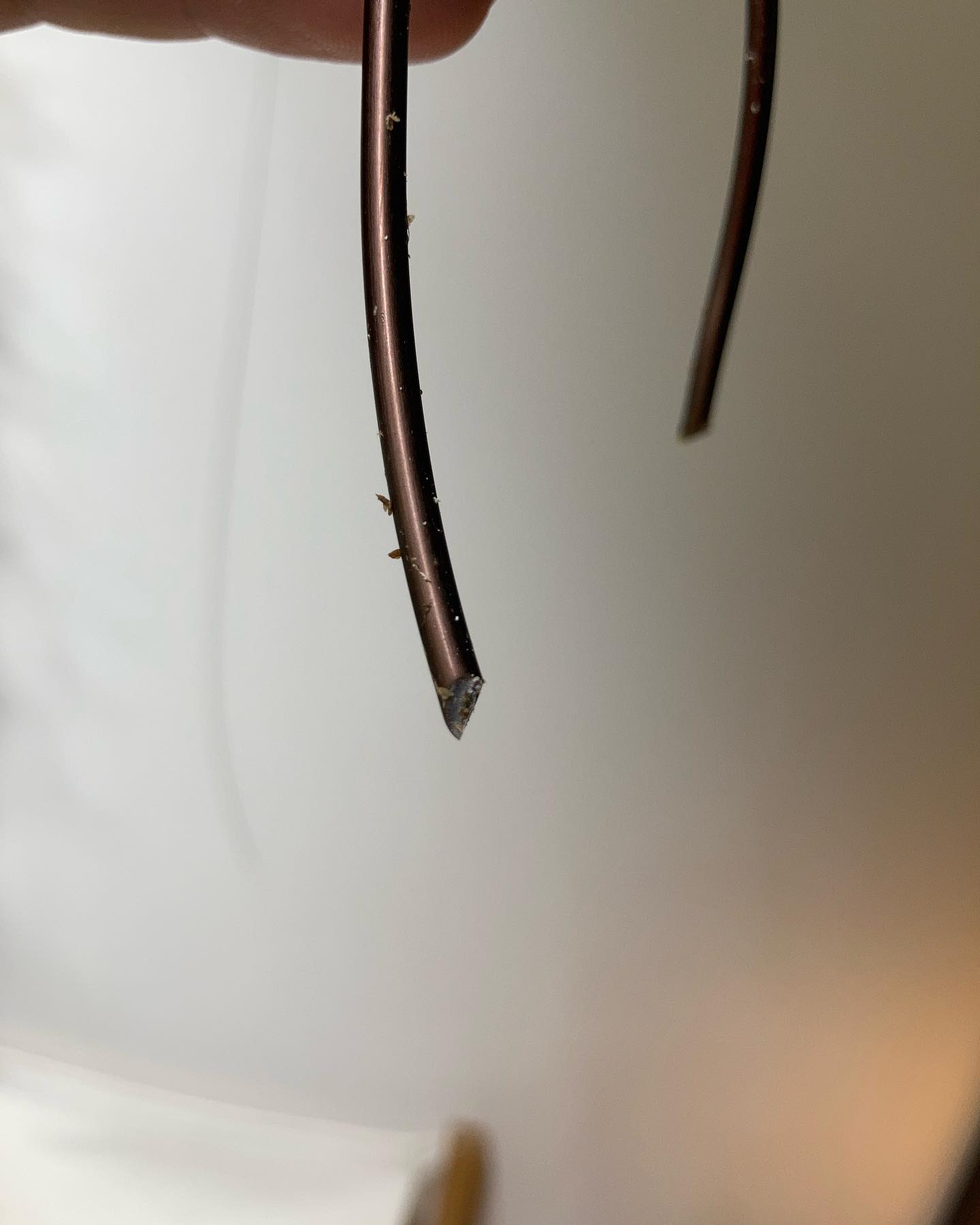 ペンチで先端を鋭角に加工したワイヤー