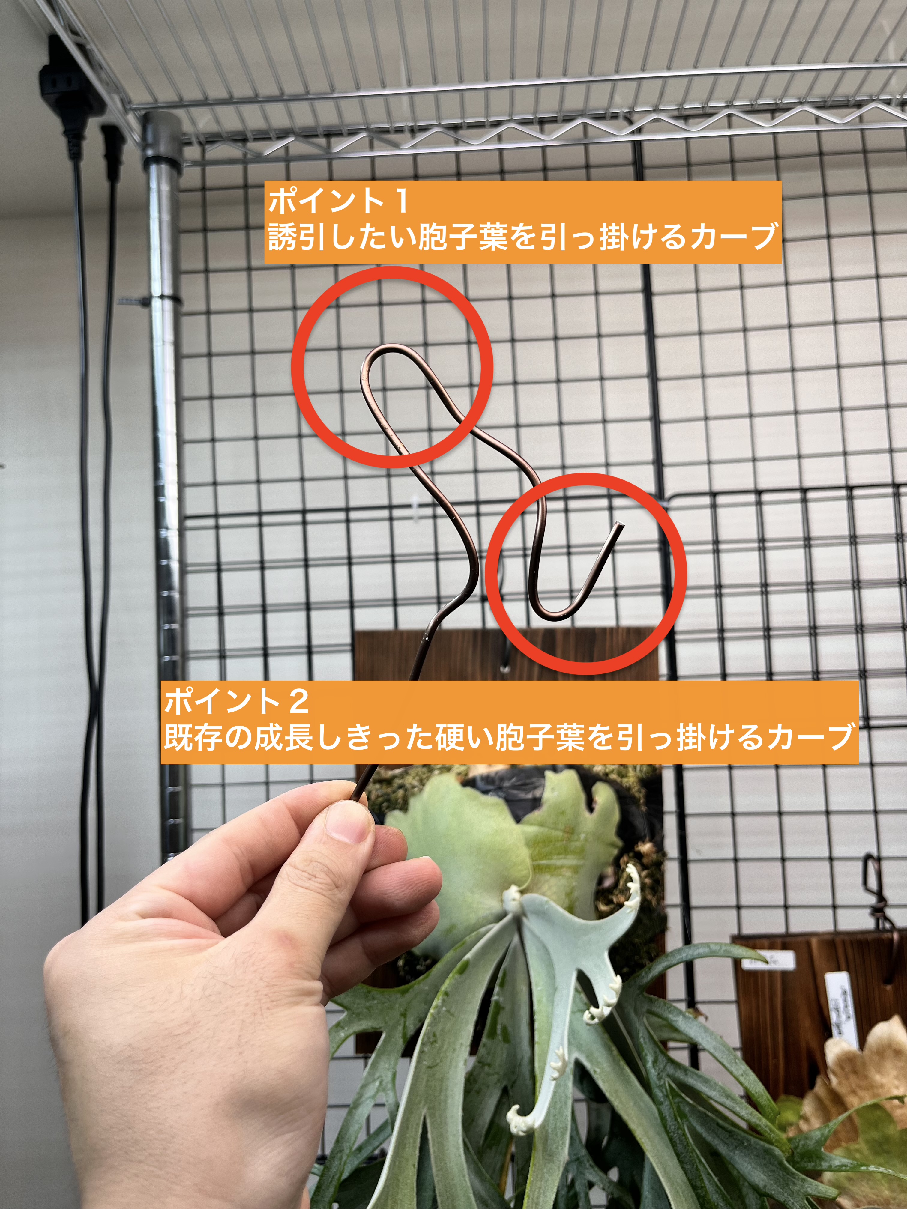 ワイヤーを準備する