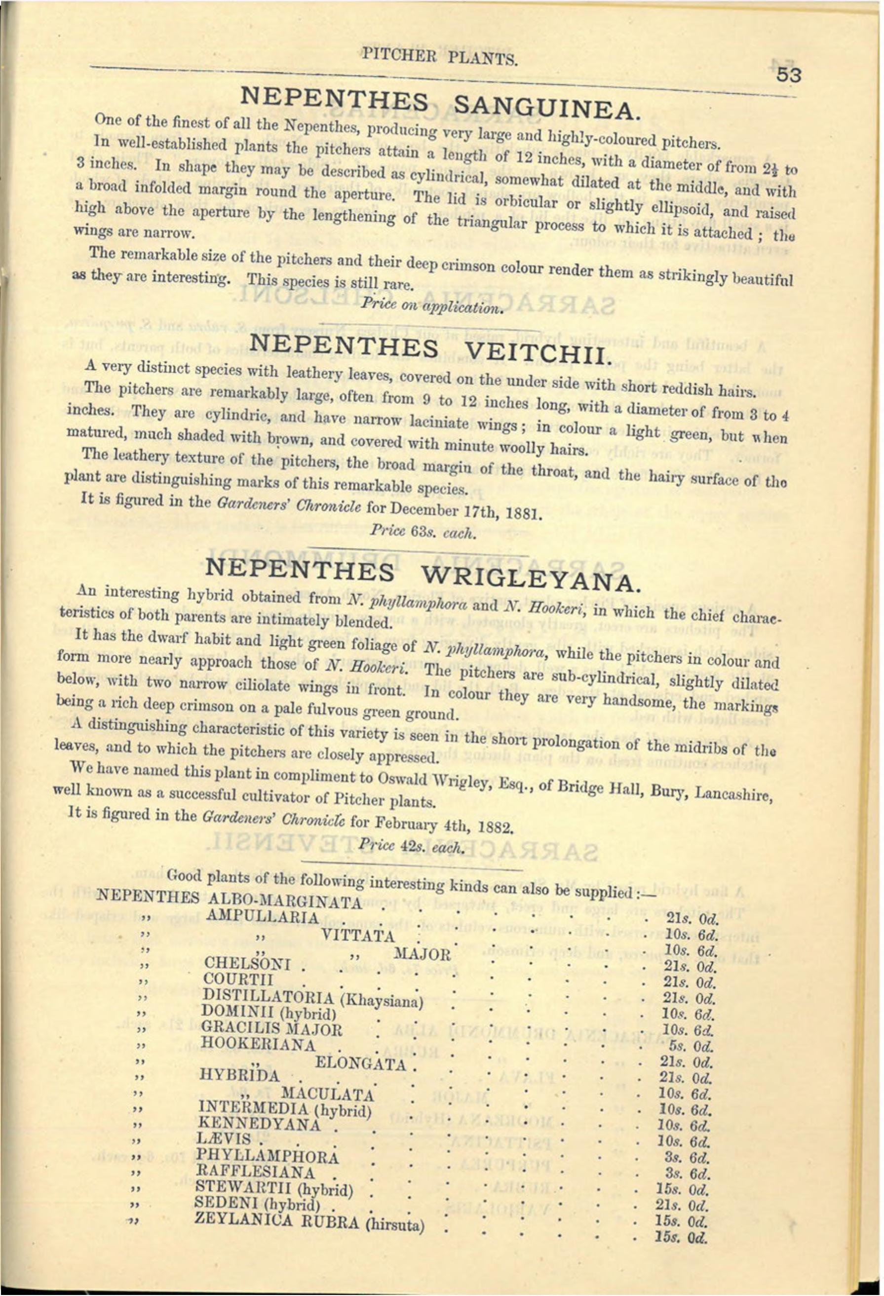 Nepenthes全種価格リスト（1882）