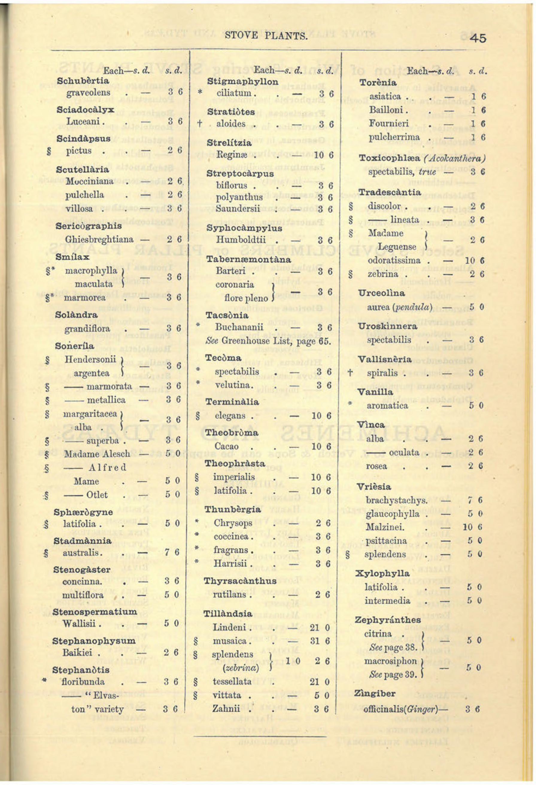 Tillandsia価格リスト（1882）