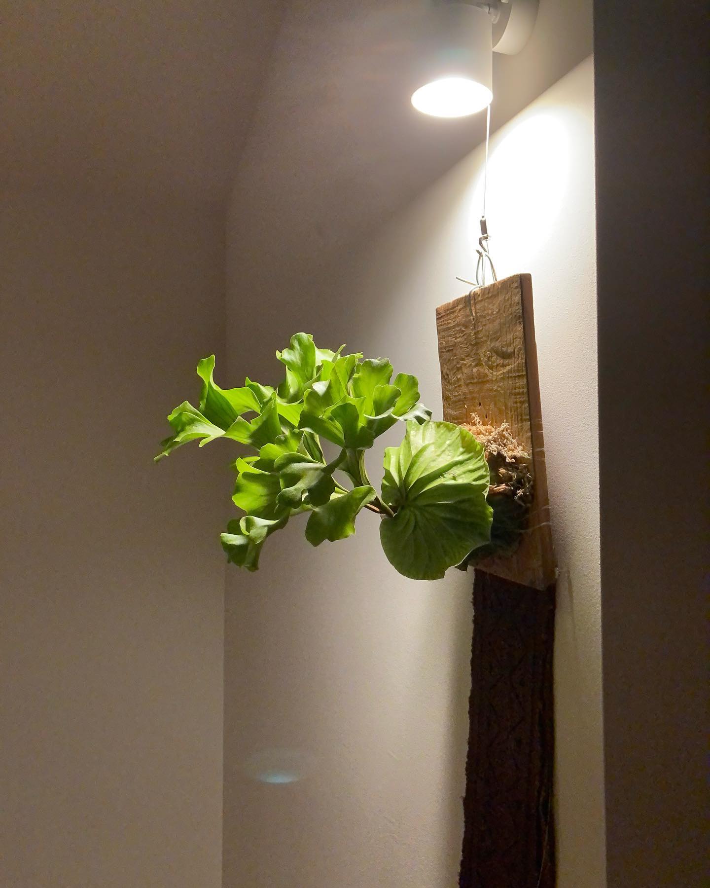 なんか好きなやつ