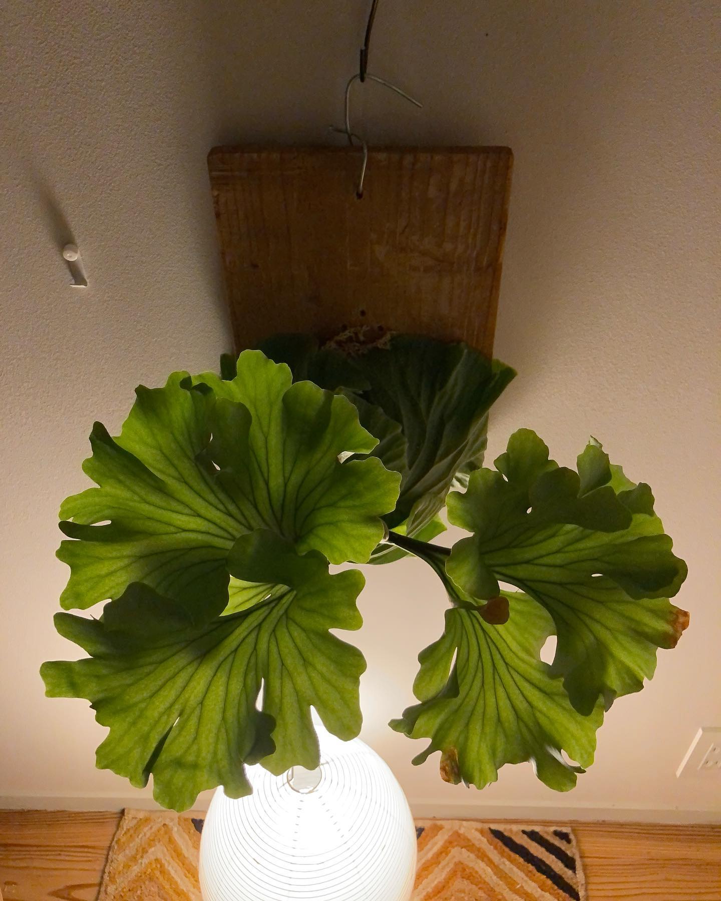 滑り込みセーフ！