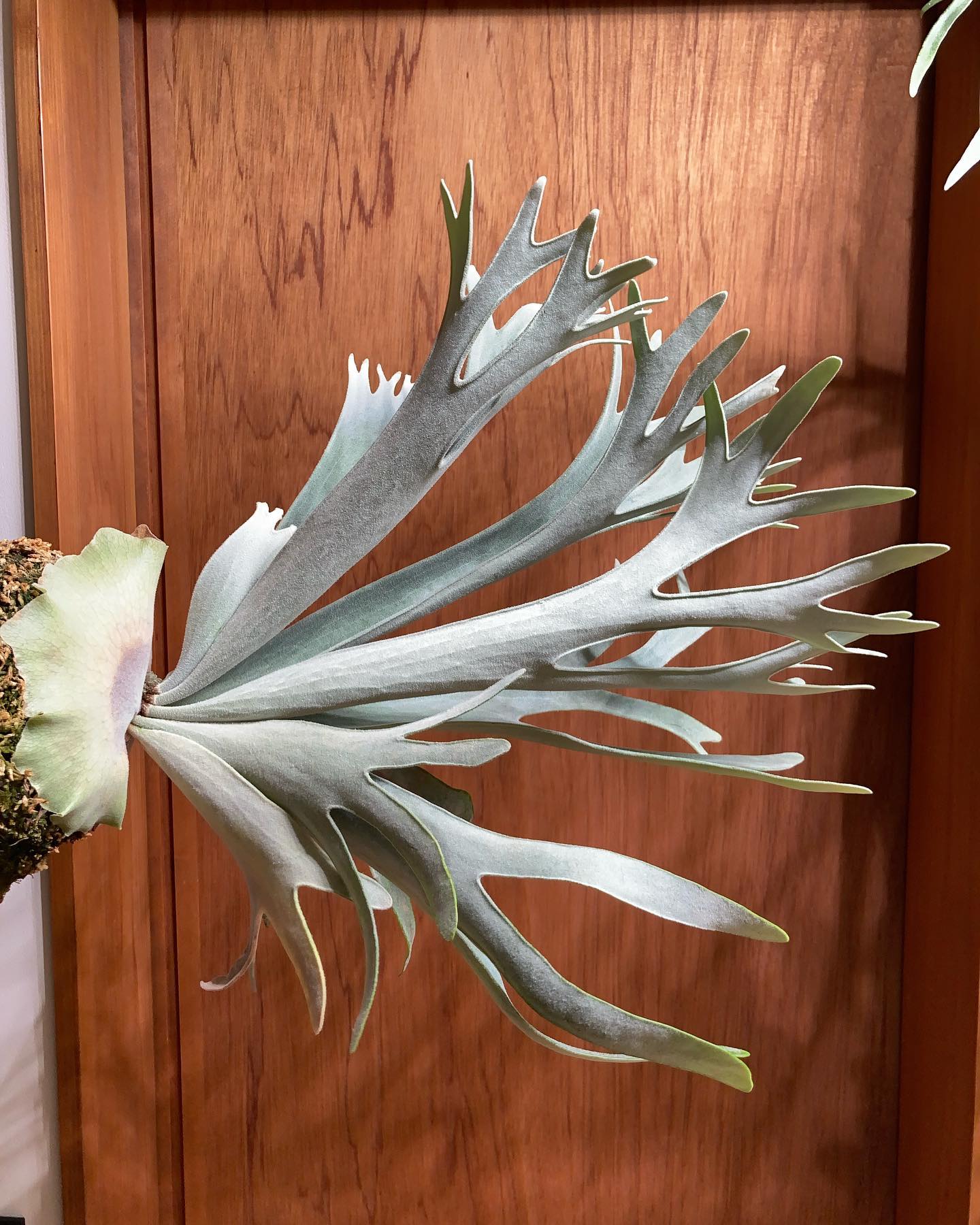 これからが本番のようですね！