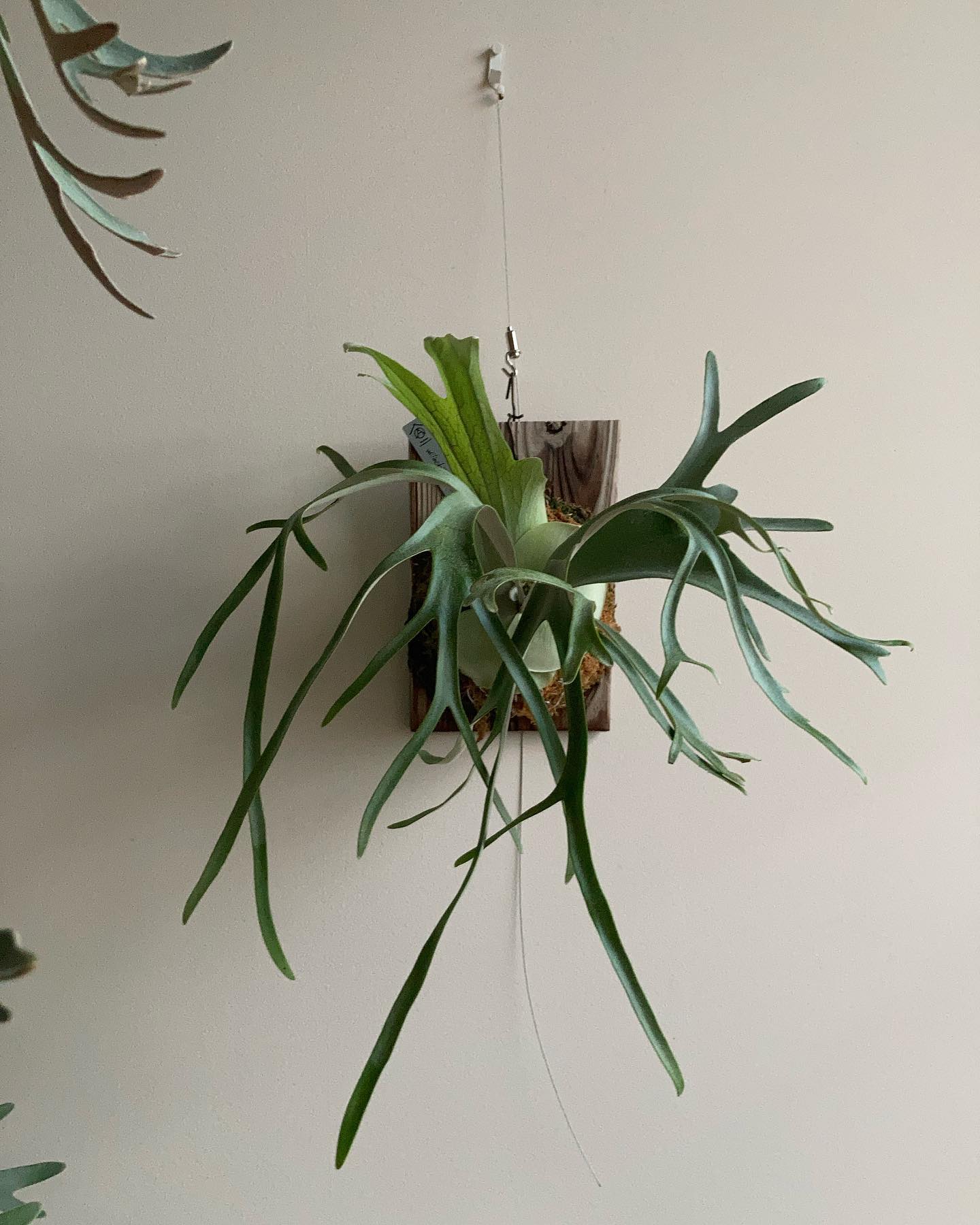 非常に可能性を感じます。 from @chan317 さん