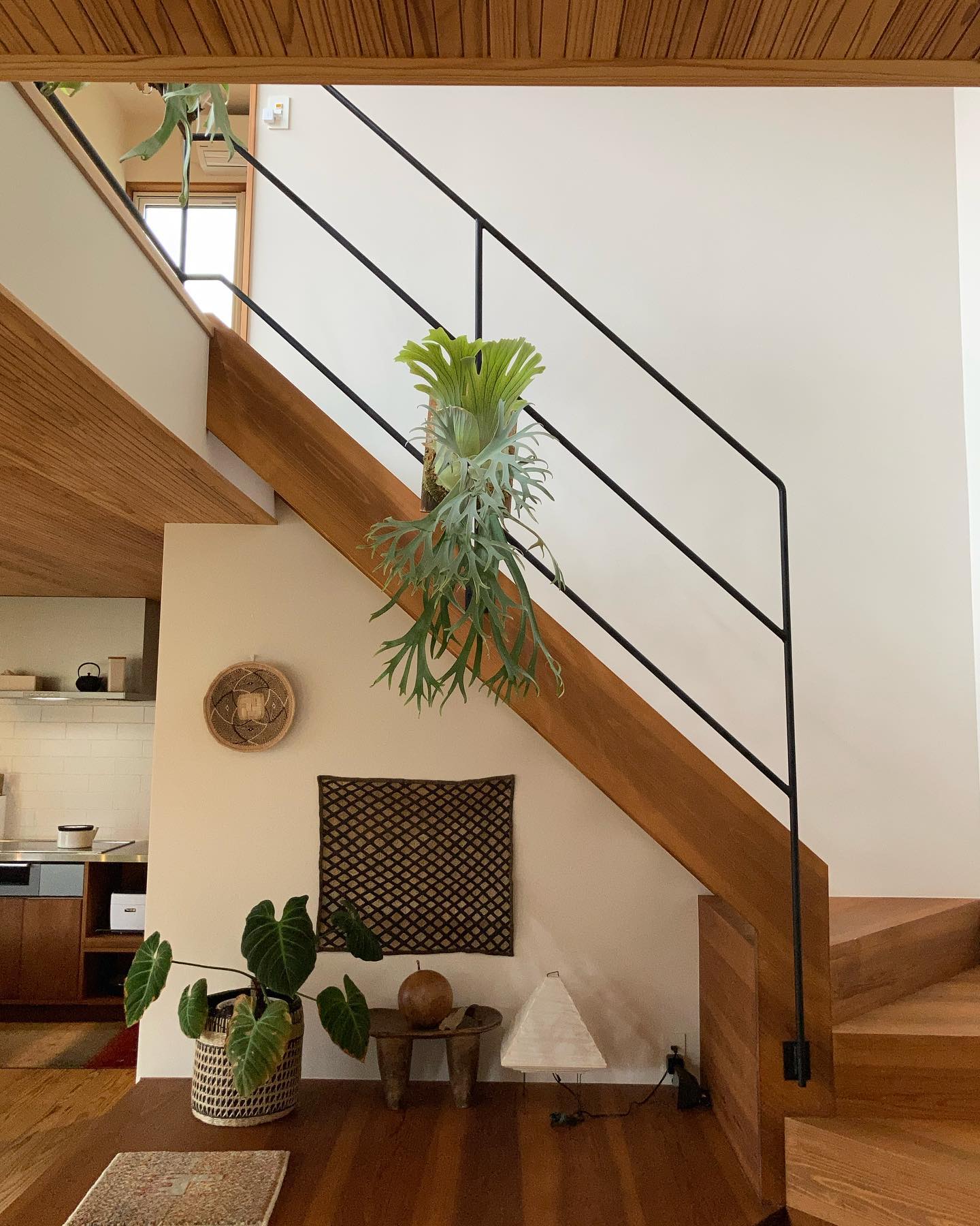 月光爪哇 in the house