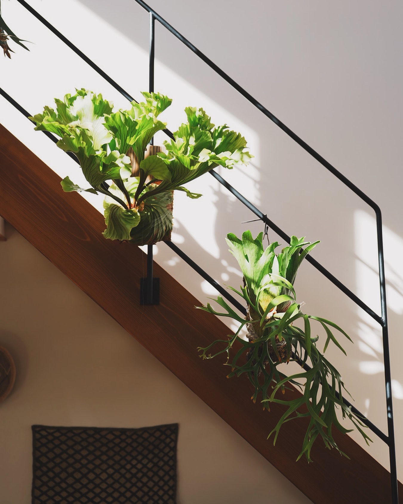 どんどん撮影機材が増えてくどん。