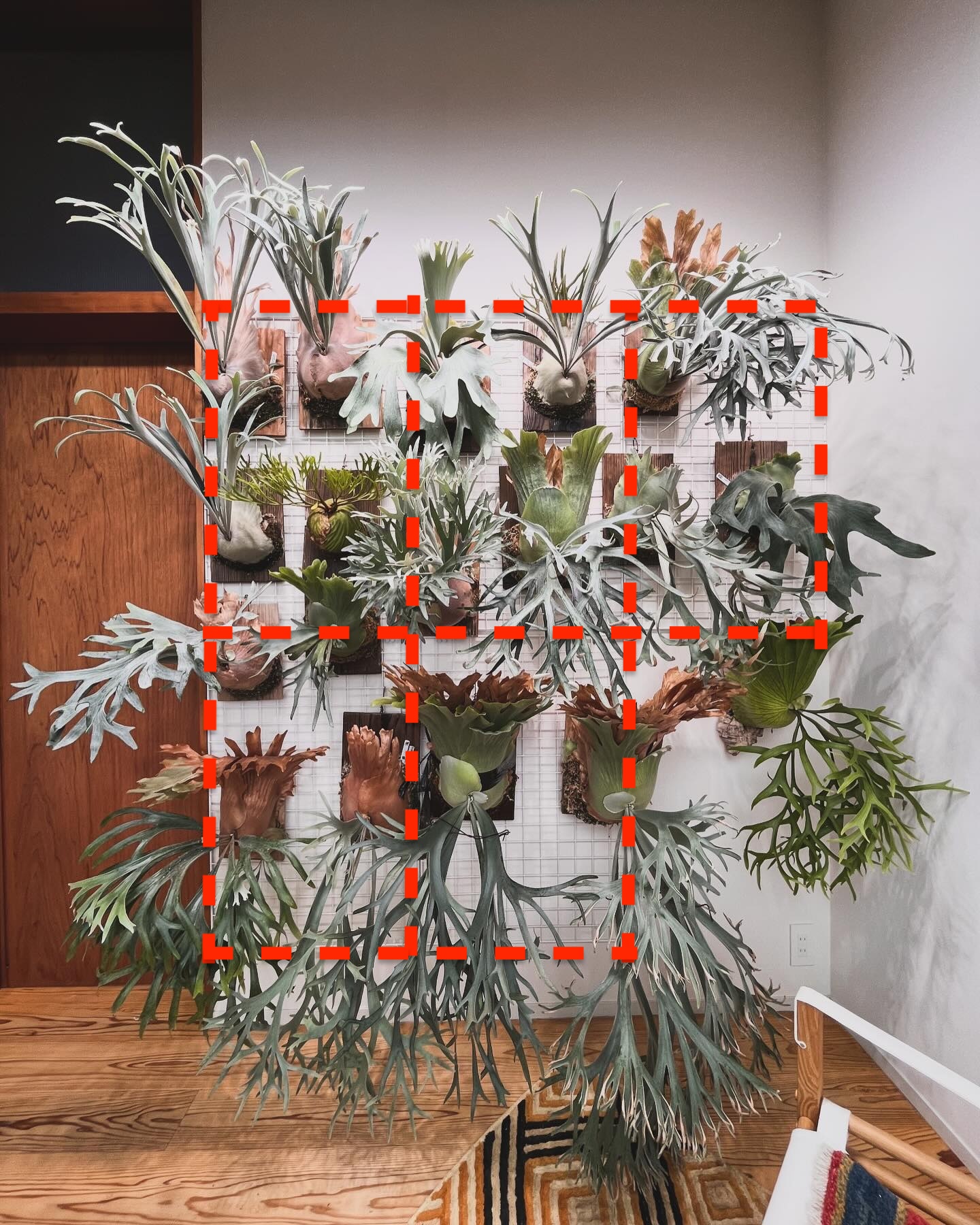 メッシュパネルの配置（上段3枚、下段2枚）